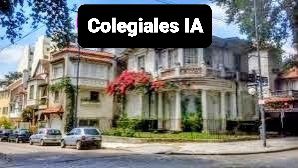 Colegiales IA Grupales Terapias 